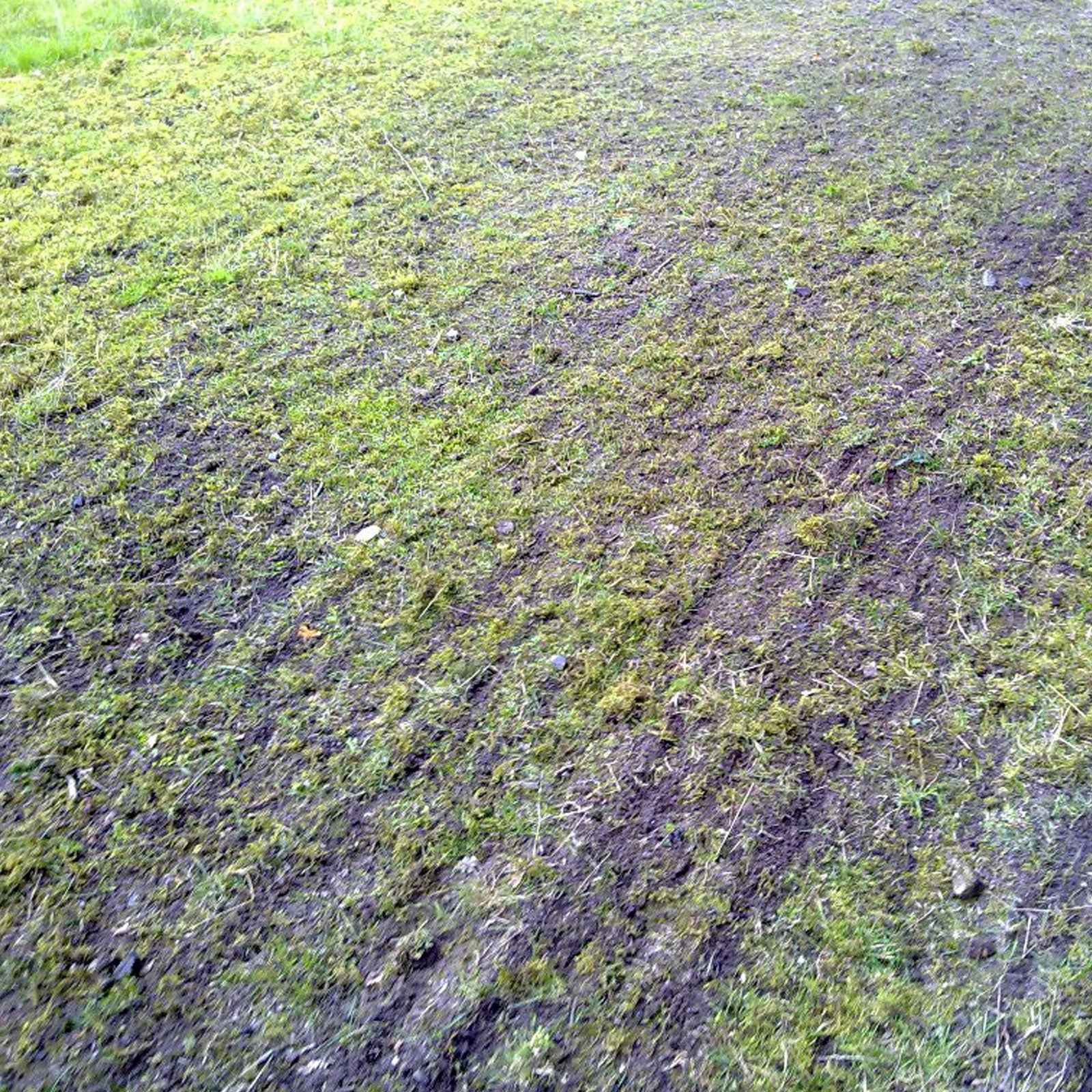 Herse de pâturage Jansen WS 1.4