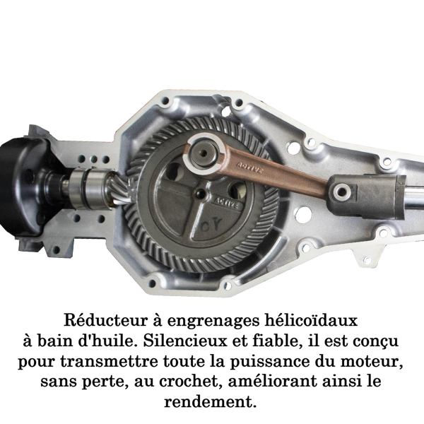 Secoueur à Olives ACTIVE M60
