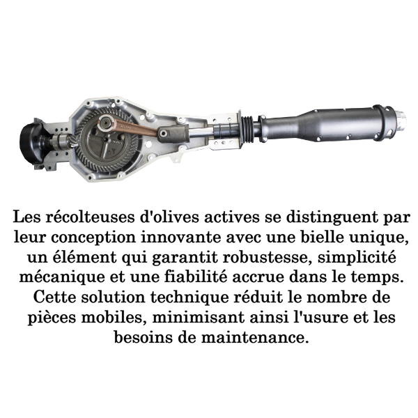 Secoueur à Olives ACTIVE M60